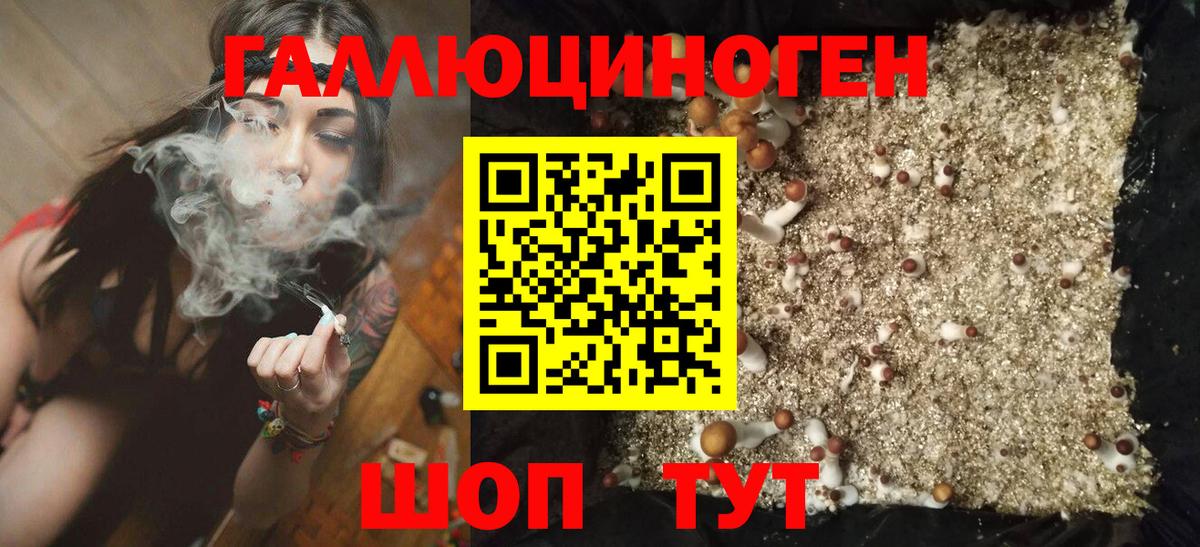 Амурск  Псилоцибиновые грибы прущие грибы  Вход с VPN 