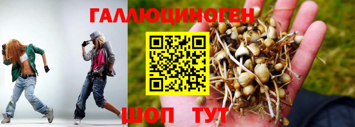 Галлюциногенные грибы MAGIC MUSHROOMS Амурск